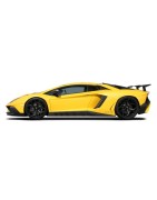 Aventador SV | KURO Detailing