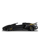 Aventador SV Roadster | KURO Detailing