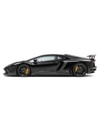 Aventador | KURO Detailing