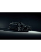 Urus Performante