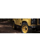 Classic Defender