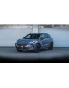 Cupra Terramar | KURO Detailing