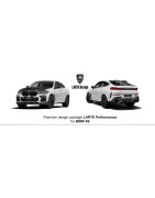 X6 (G06)